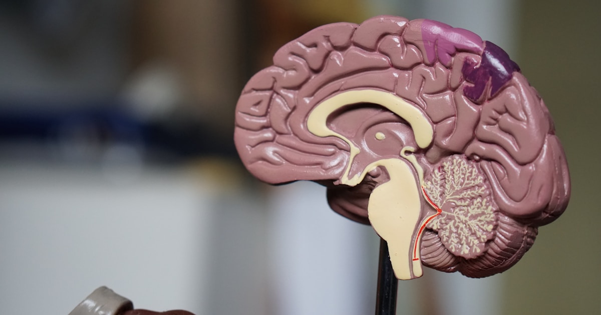 Advancing Drug Discovery Through AI-Powered Molecular Analysis