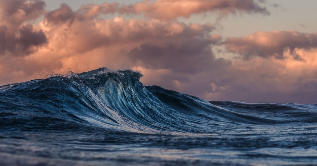 Advancing Ocean Conservation Through Marine Technology Monitoring